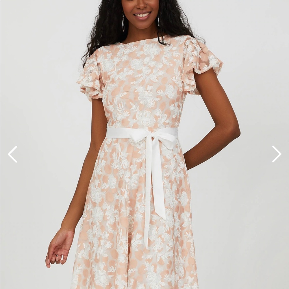 Flutter sleeve lace dress SUZY SHIER